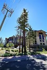 Hotel Mammoth Mountain Reservations Condo Collection Mammoth Lakes